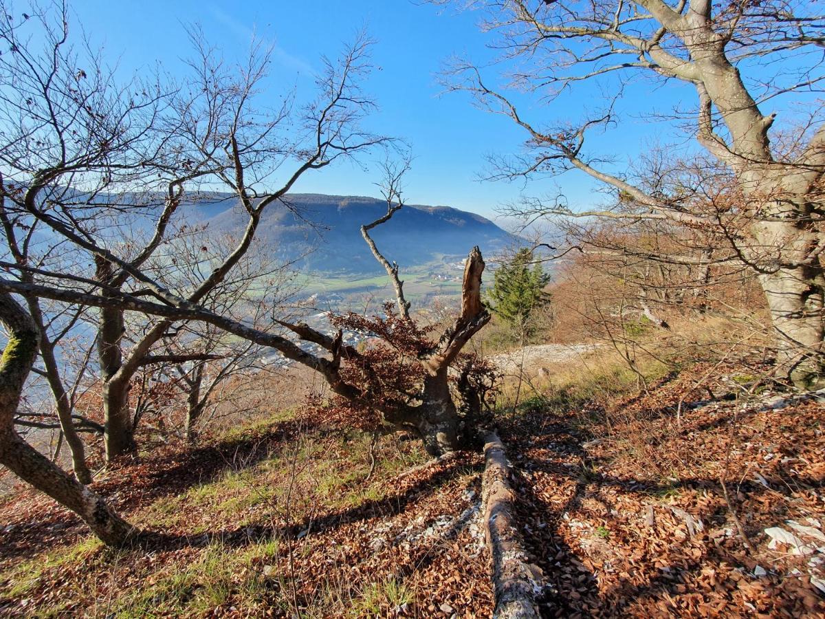 Quiet Business Flat Or Vacation Home In Bad Urach Εξωτερικό φωτογραφία